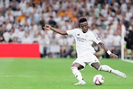 入了一个新 入了一个新